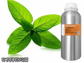 欧薄荷纯露有机薄荷花水保湿抗氧化