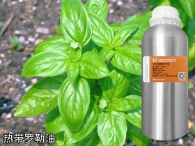 YS热带罗勒油 | 带八角香气的香水常用原料，也是消炎止痛抑菌能手