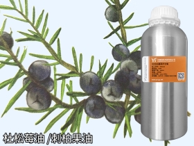 YS杜松莓油 | 又叫刺柏果，它的功效与作用是？生活中什么产品有它？