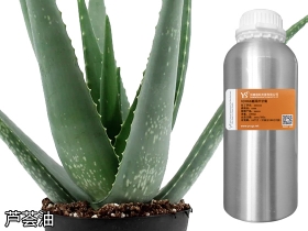 YS芦荟油 | 新品到！它可不只是美肤界的扛把子