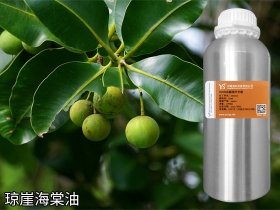 琼崖海棠油厂家供应 冷榨琼崖海棠油 纯护肤基底油 手作DIY霜膏原料批发销售