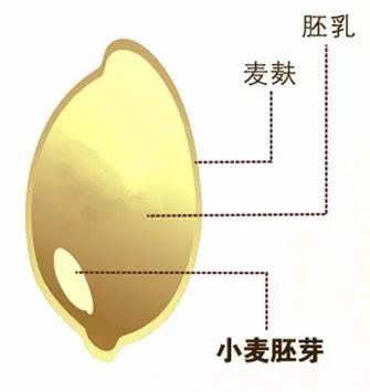 1555055724244672.jpg 微信图片_20190412155258.jpg