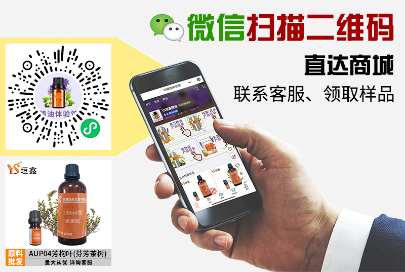 1686643837669996.jpg 芳枸叶.jpg