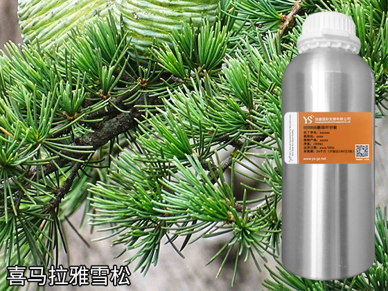 广州精油源头