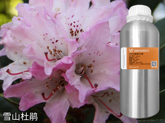 广东精油价格